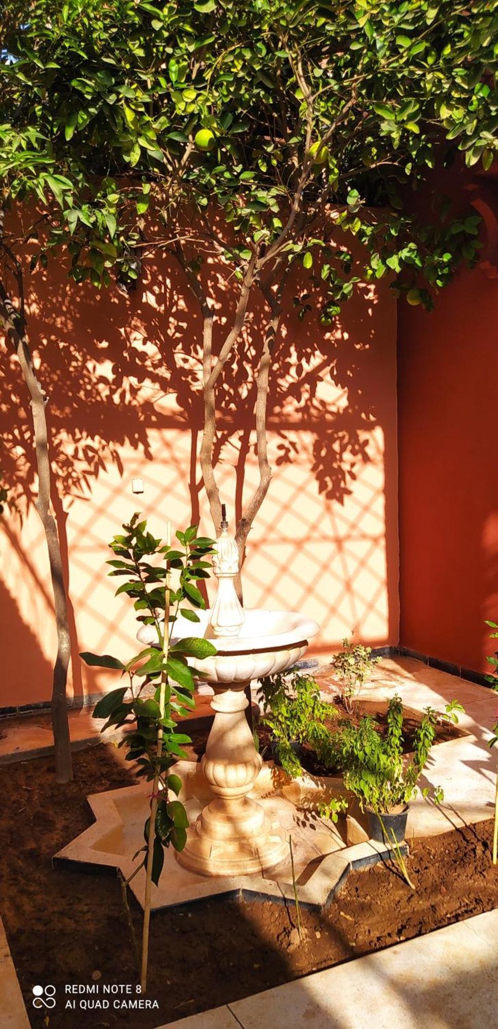 Maison D'Hotes Le Petit Jardin Marrakech Marakéš Exteriér fotografie
